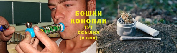 ПСИЛОЦИБИНОВЫЕ ГРИБЫ Волосово