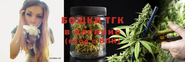хмурый Вяземский