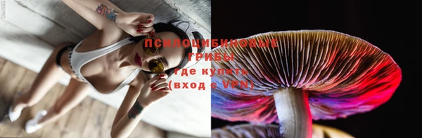 молекула духа Вязьма