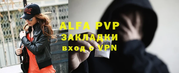 хмурый Вяземский