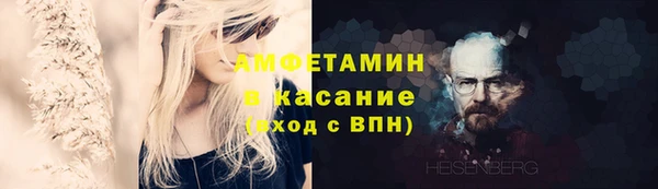 молекула духа Вязьма