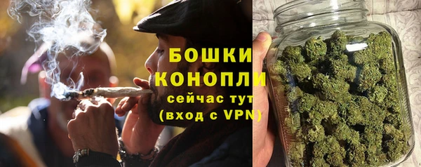хмурый Вяземский