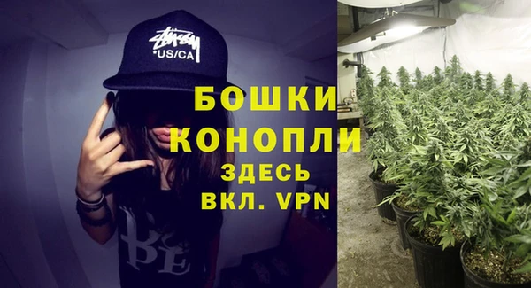 молекула духа Вязьма