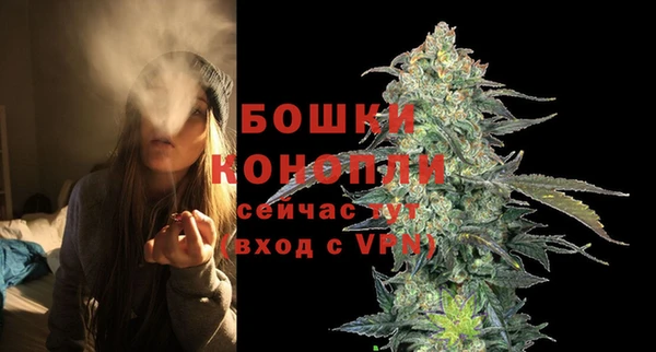 молекула духа Вязьма