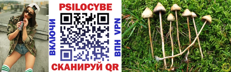 Псилоцибиновые грибы прущие грибы  Купить  Новосиль 
